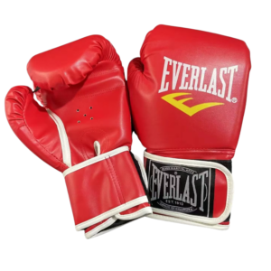 Everlast Boxing Gloves